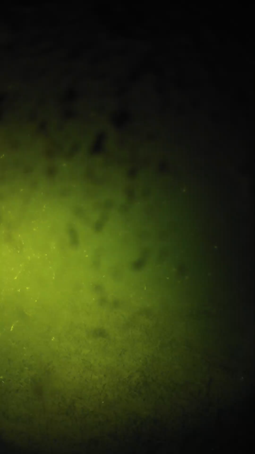 lander_ipcam_20240630003559.png