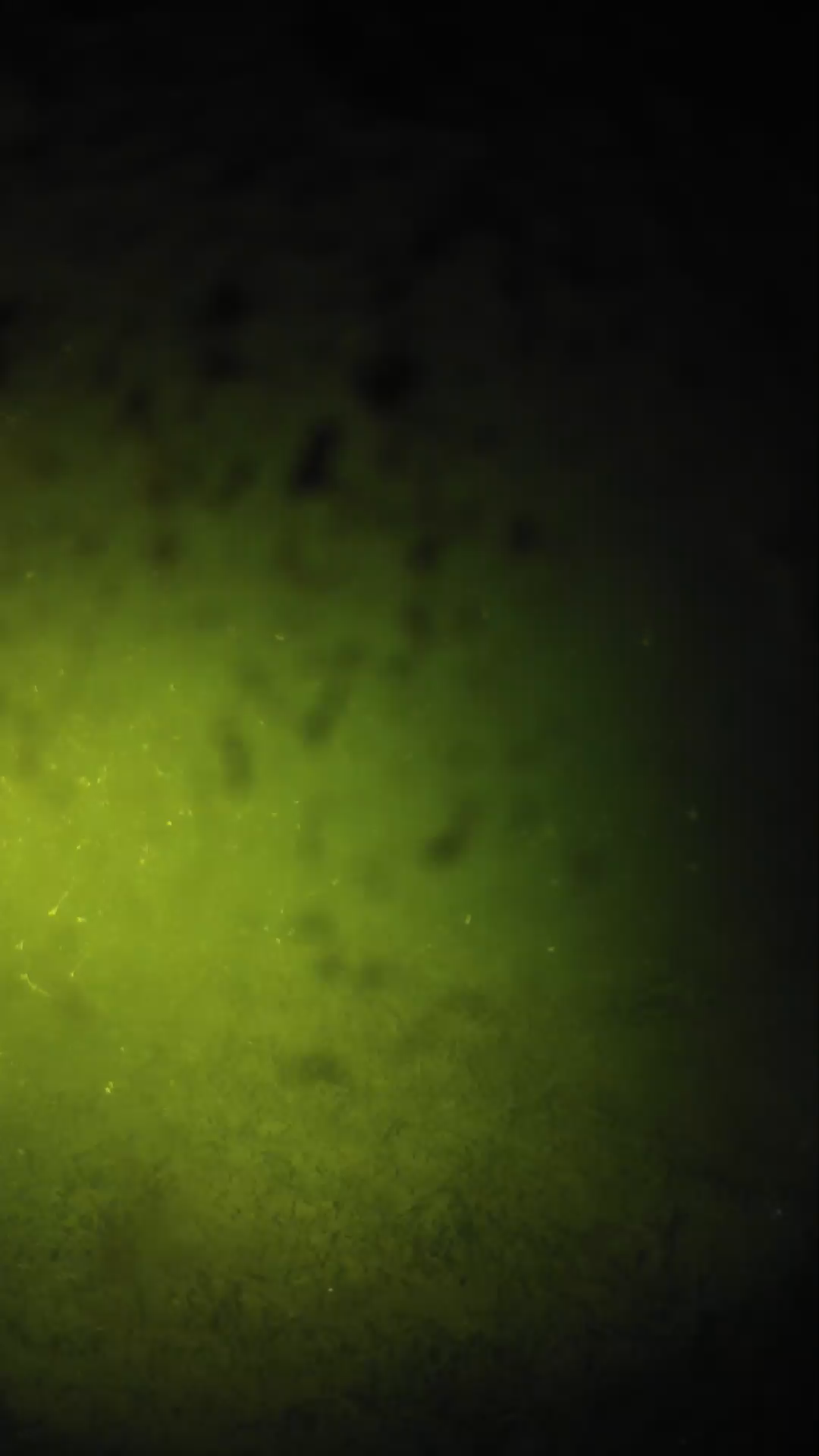 lander_ipcam_20240630003602.png