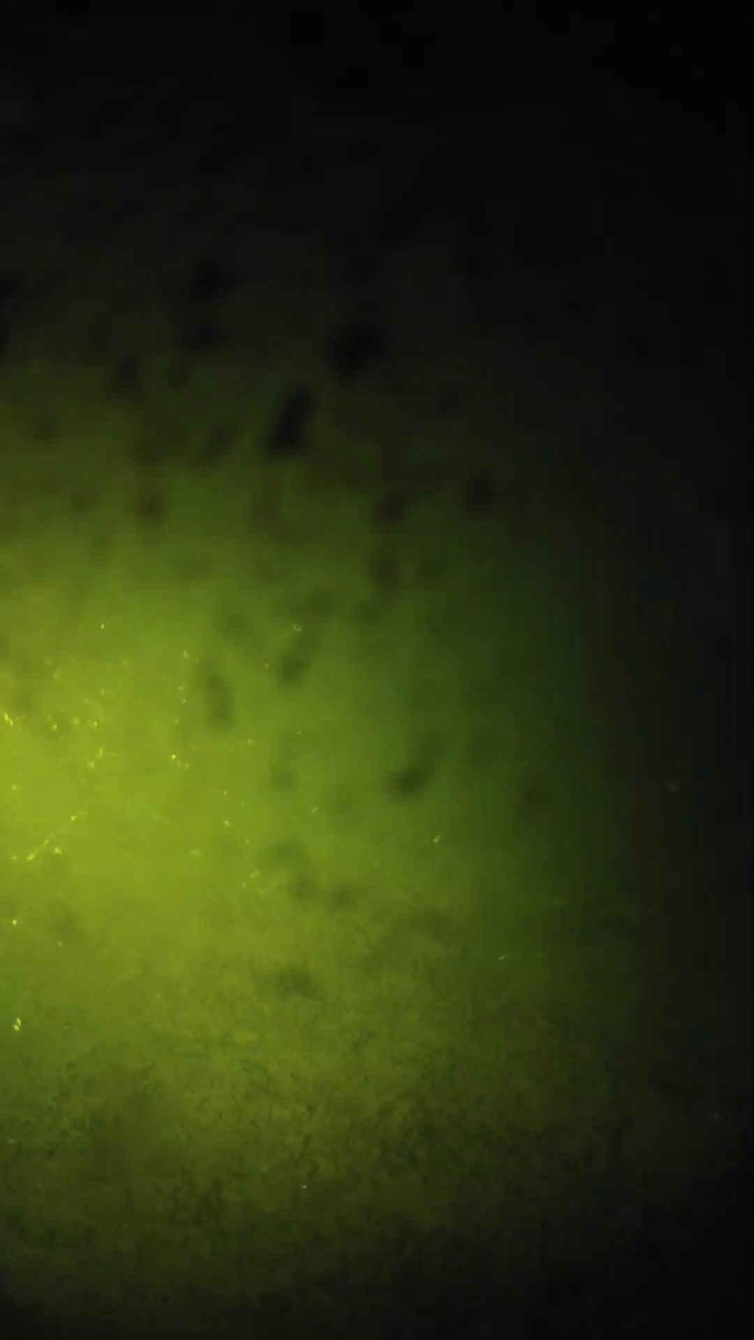 lander_ipcam_20240630003605.png