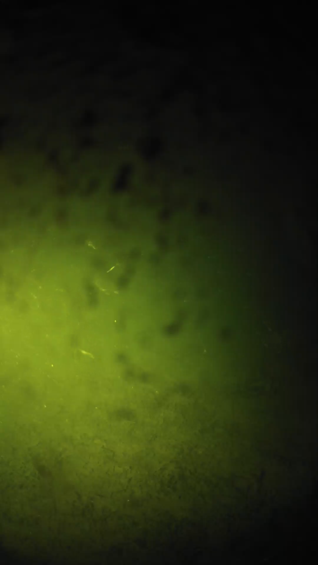 lander_ipcam_20240630010541.png