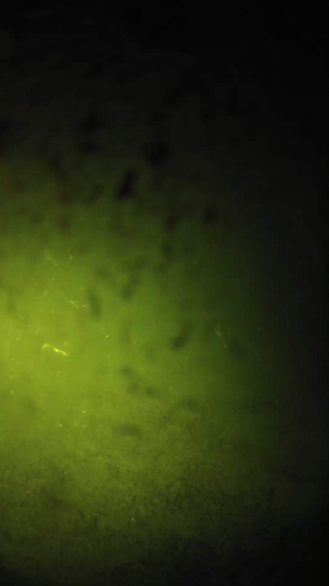 lander_ipcam_20240630010545.png