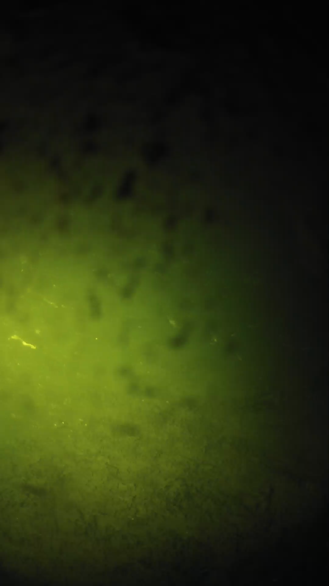 lander_ipcam_20240630010547.png