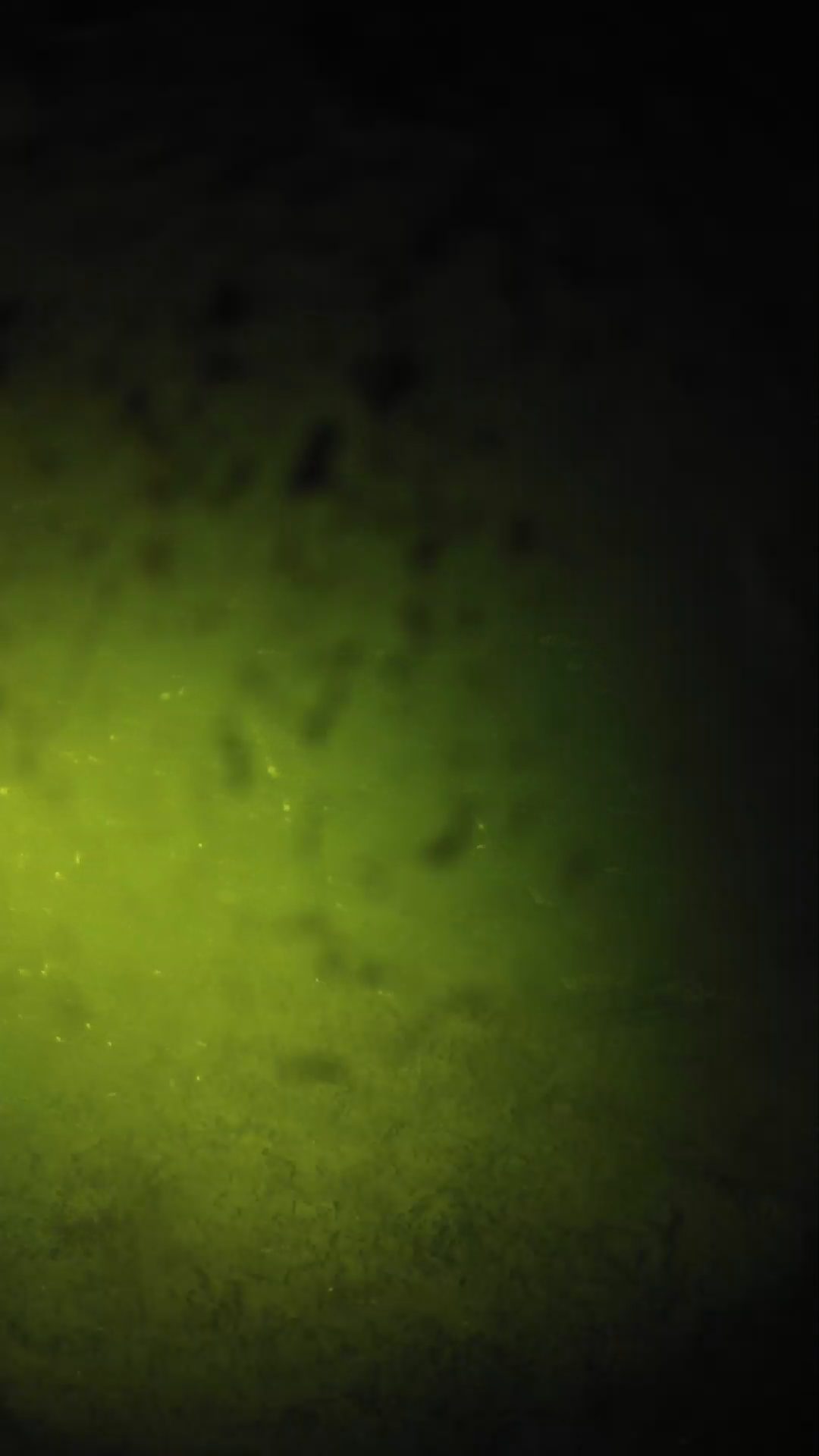 lander_ipcam_20240630010550.png