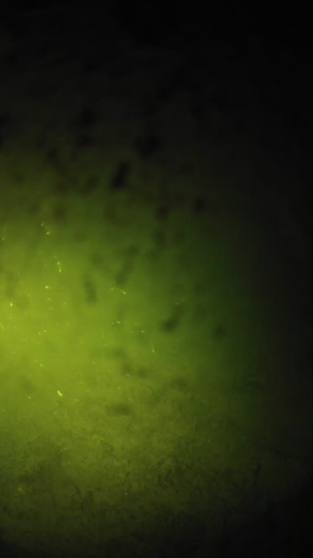 lander_ipcam_20240630010557.png