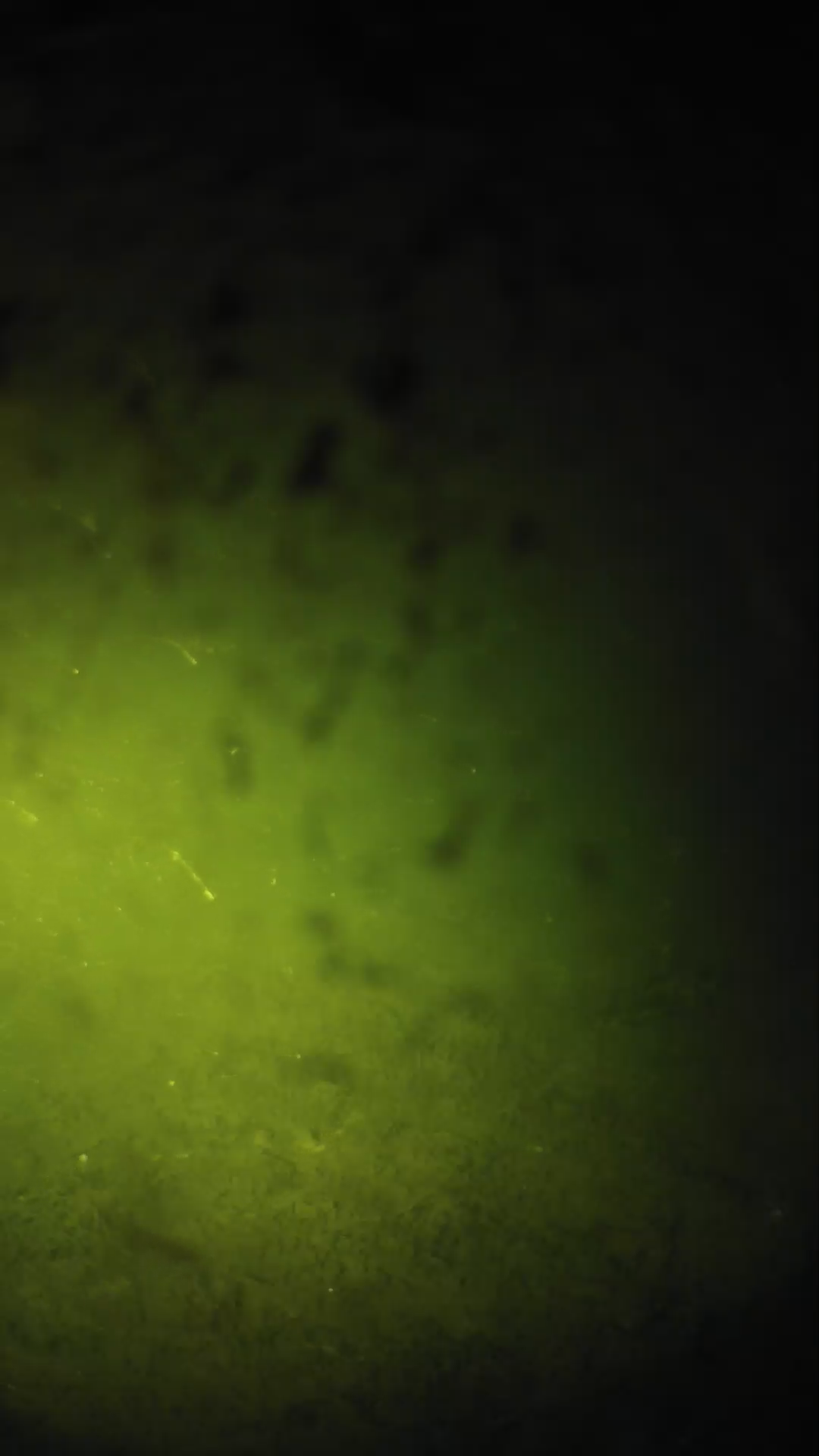 lander_ipcam_20240630013550.png