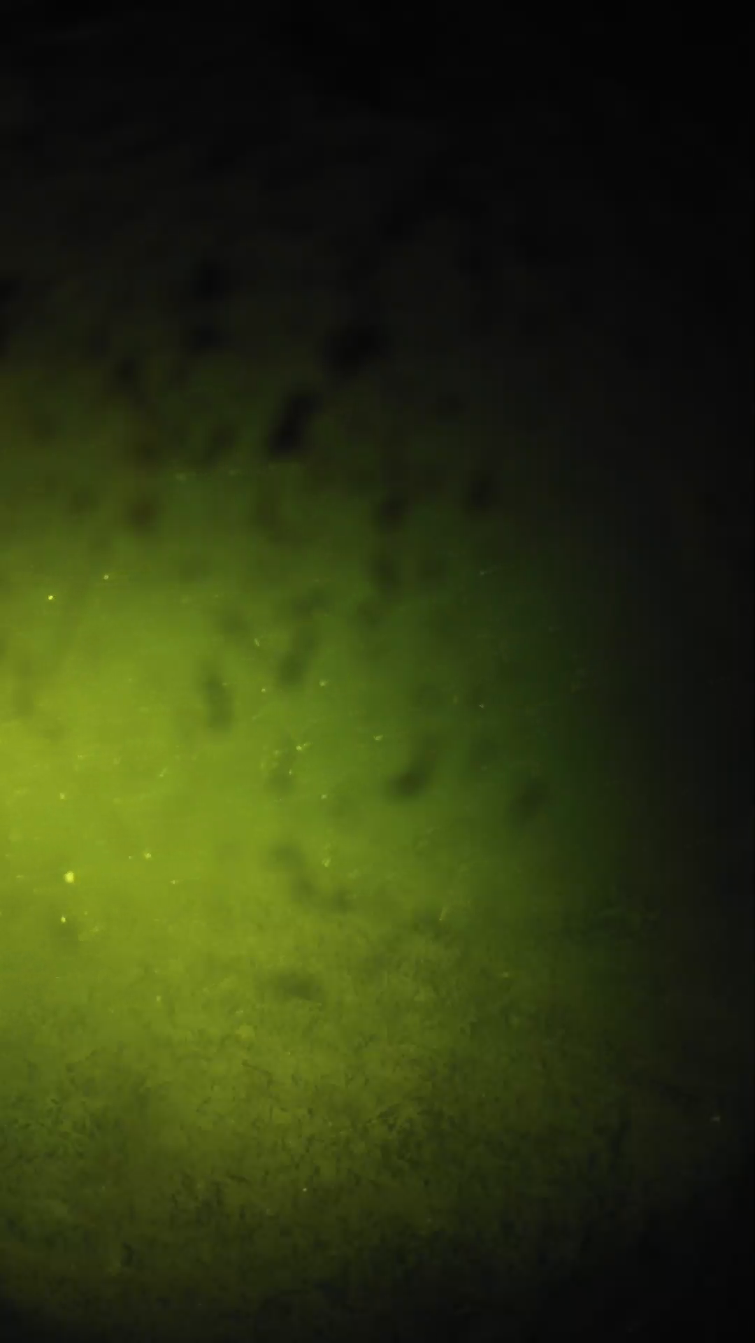 lander_ipcam_20240630020543.png