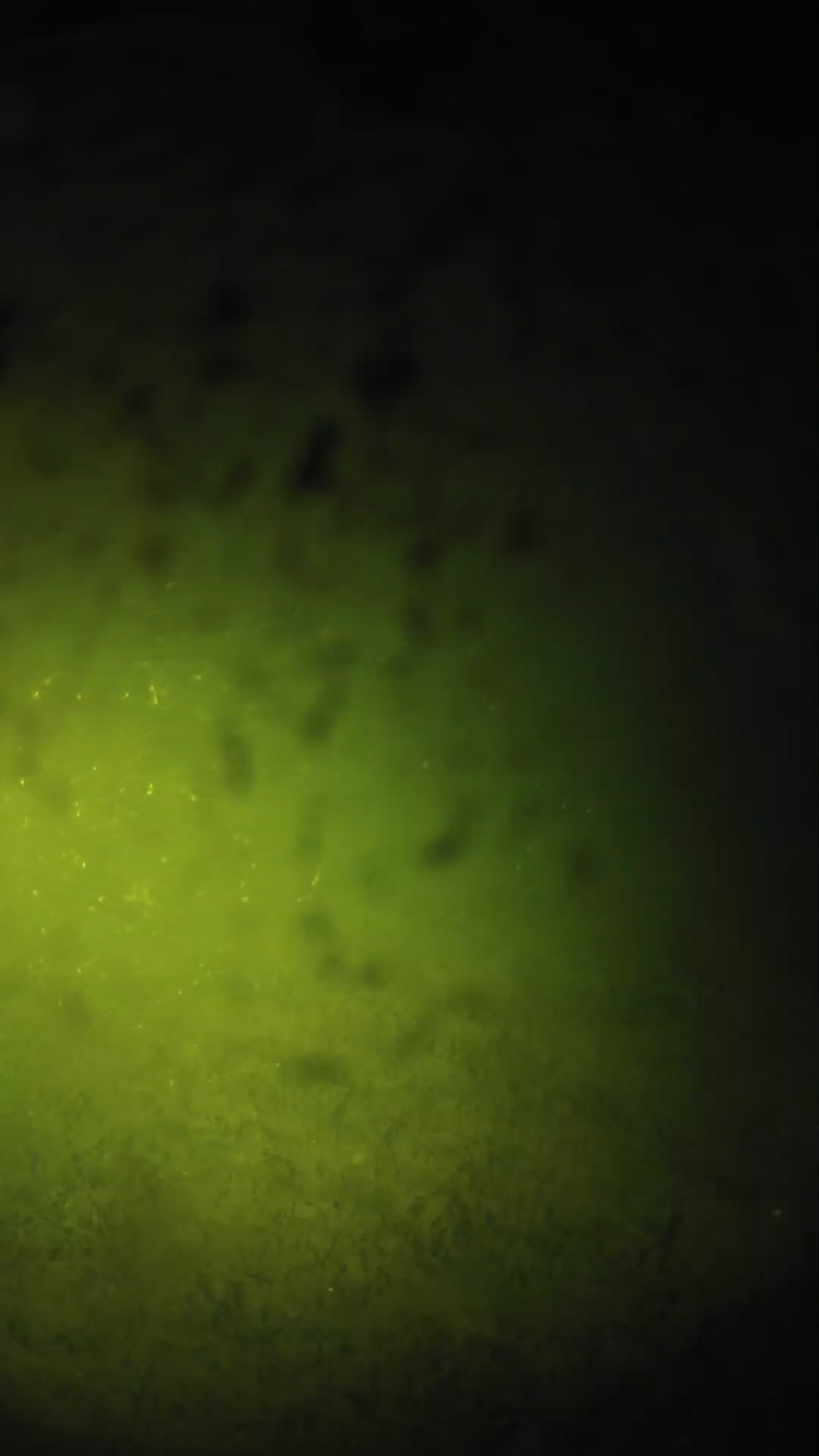 lander_ipcam_20240630023544.png