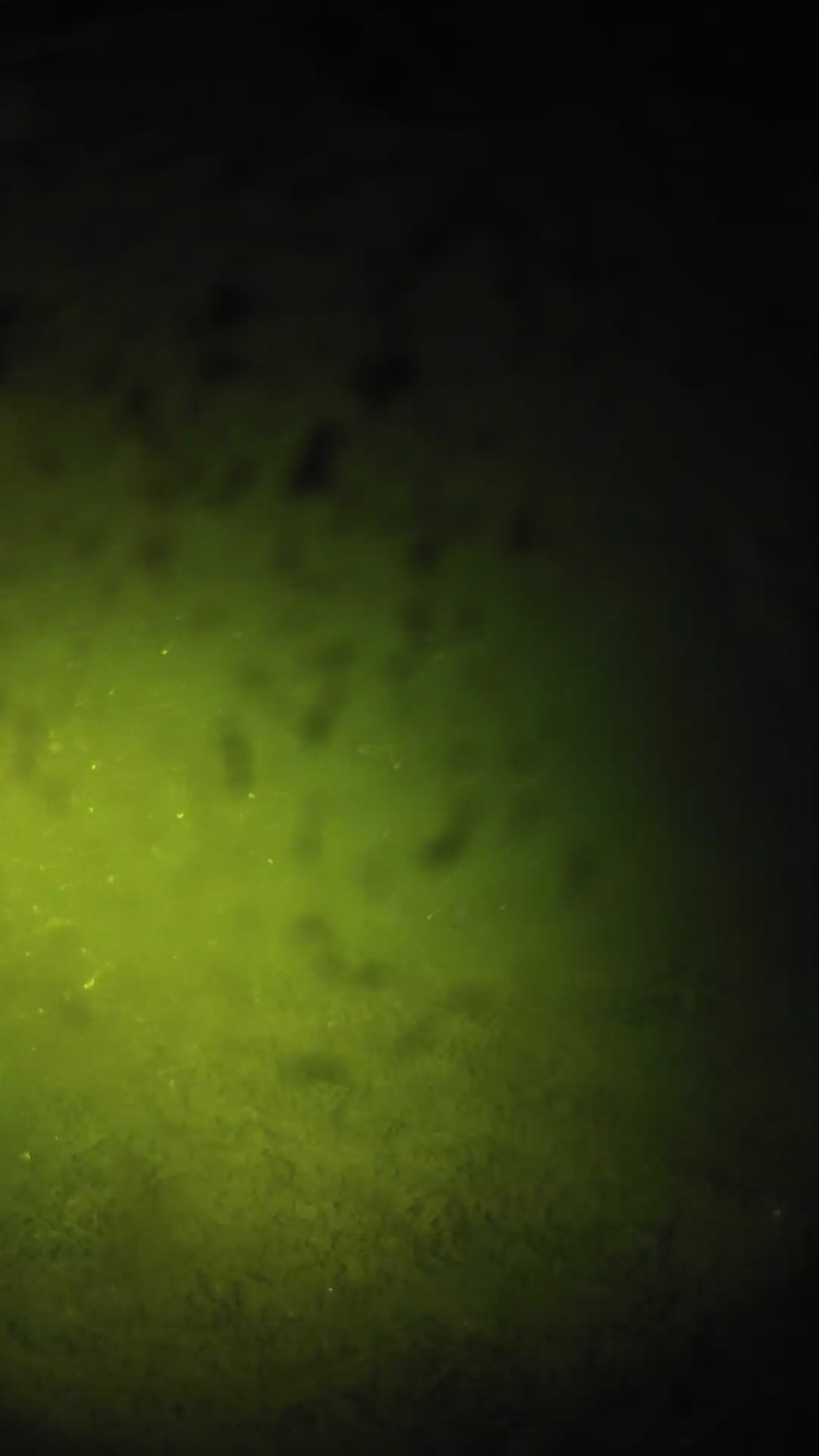 lander_ipcam_20240630023552.png