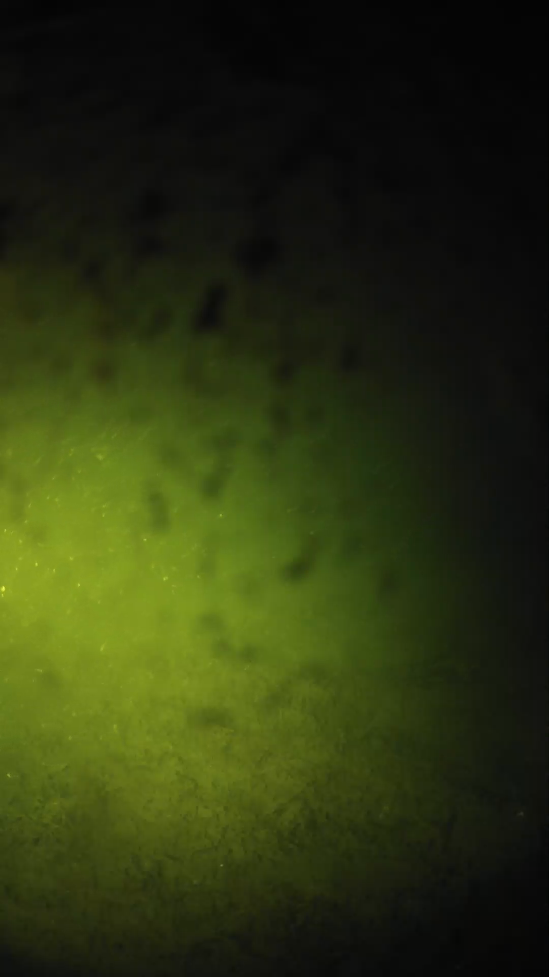 lander_ipcam_20240630023603.png