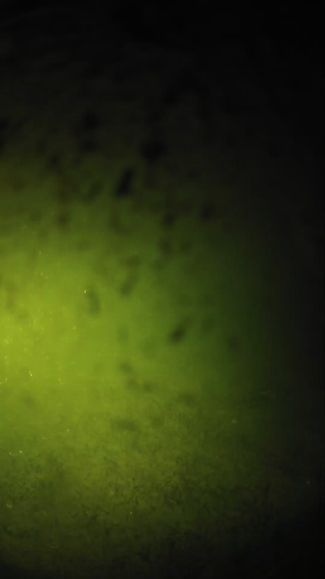 lander_ipcam_20240630040539.png