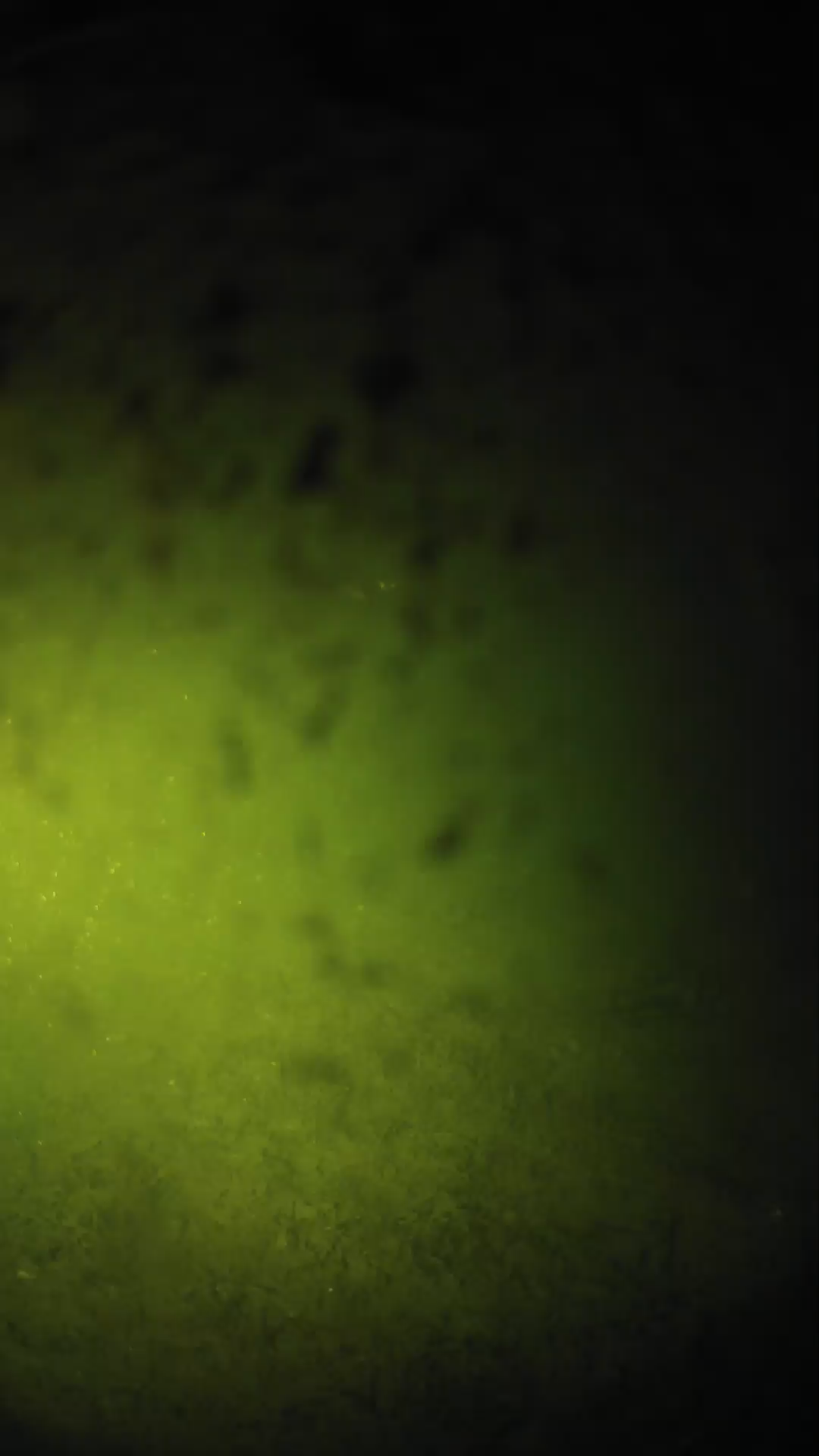 lander_ipcam_20240630040555.png