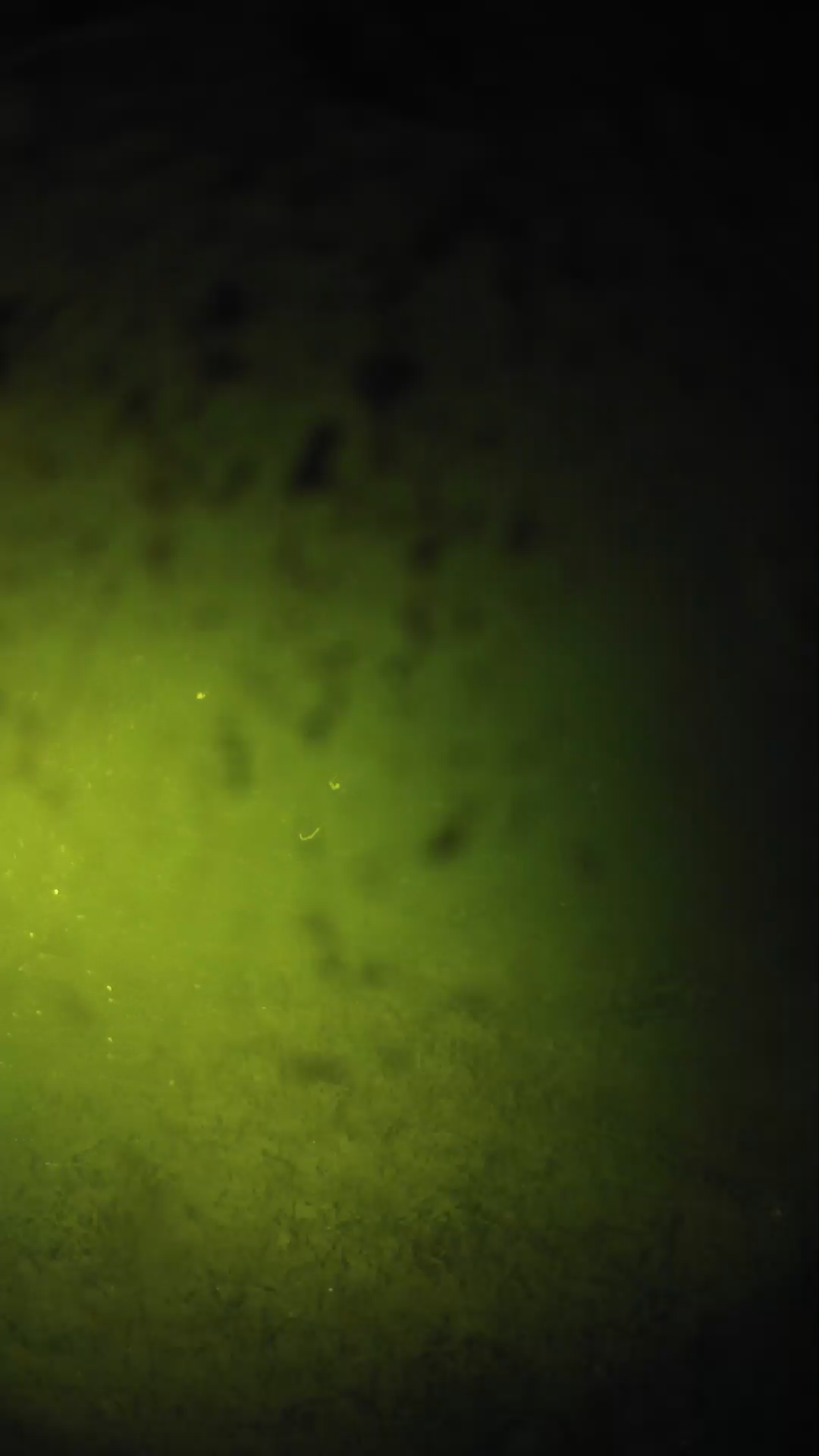 lander_ipcam_20240630040608.png