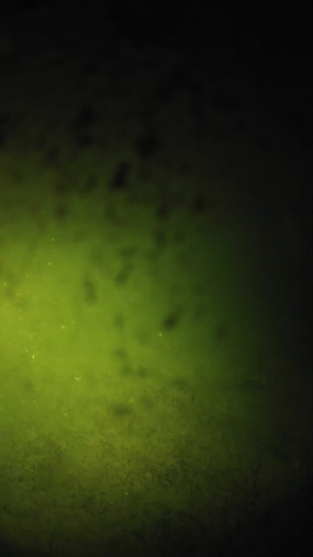 lander_ipcam_20240630043600.png
