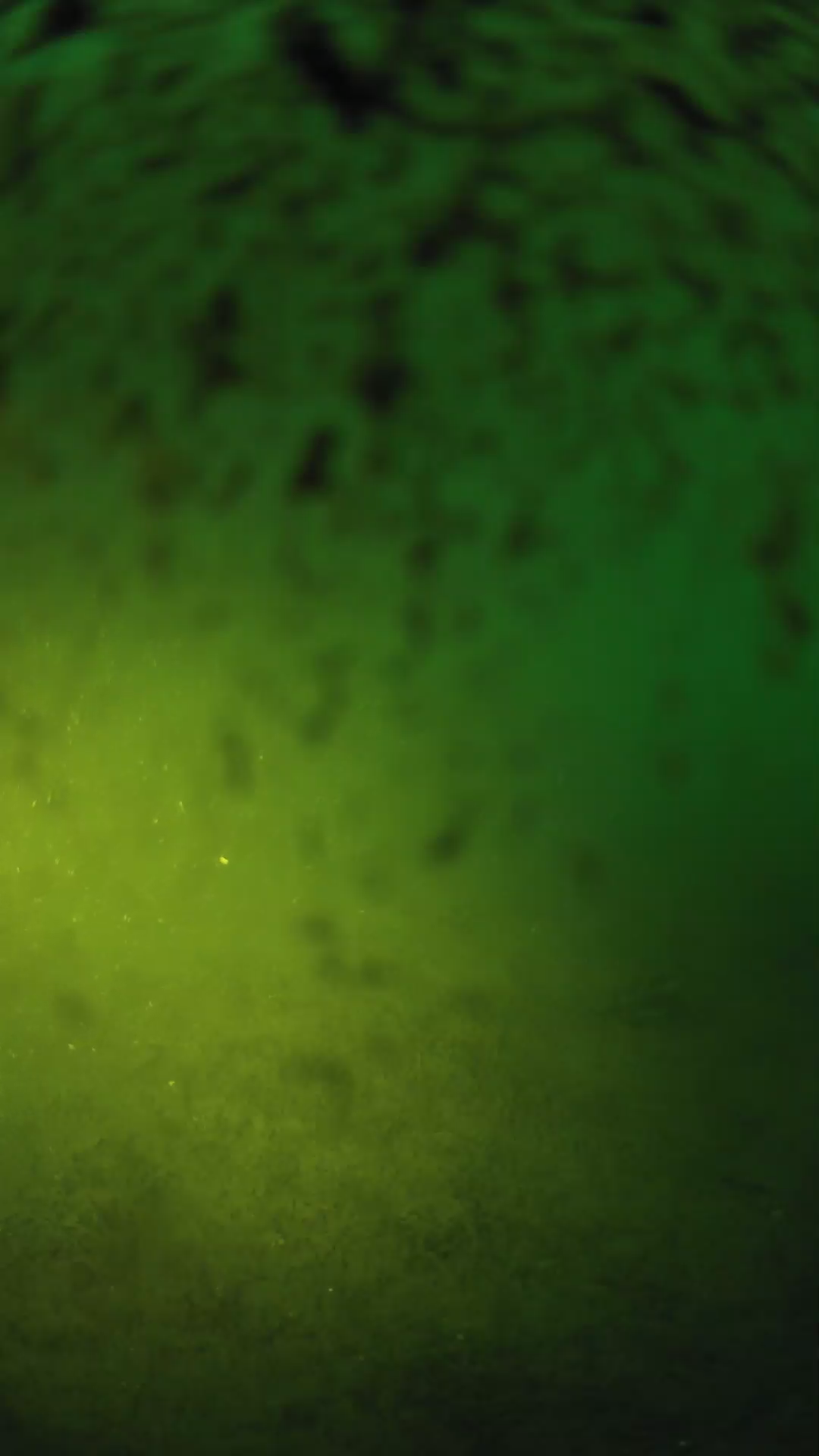 lander_ipcam_20240630050545.png