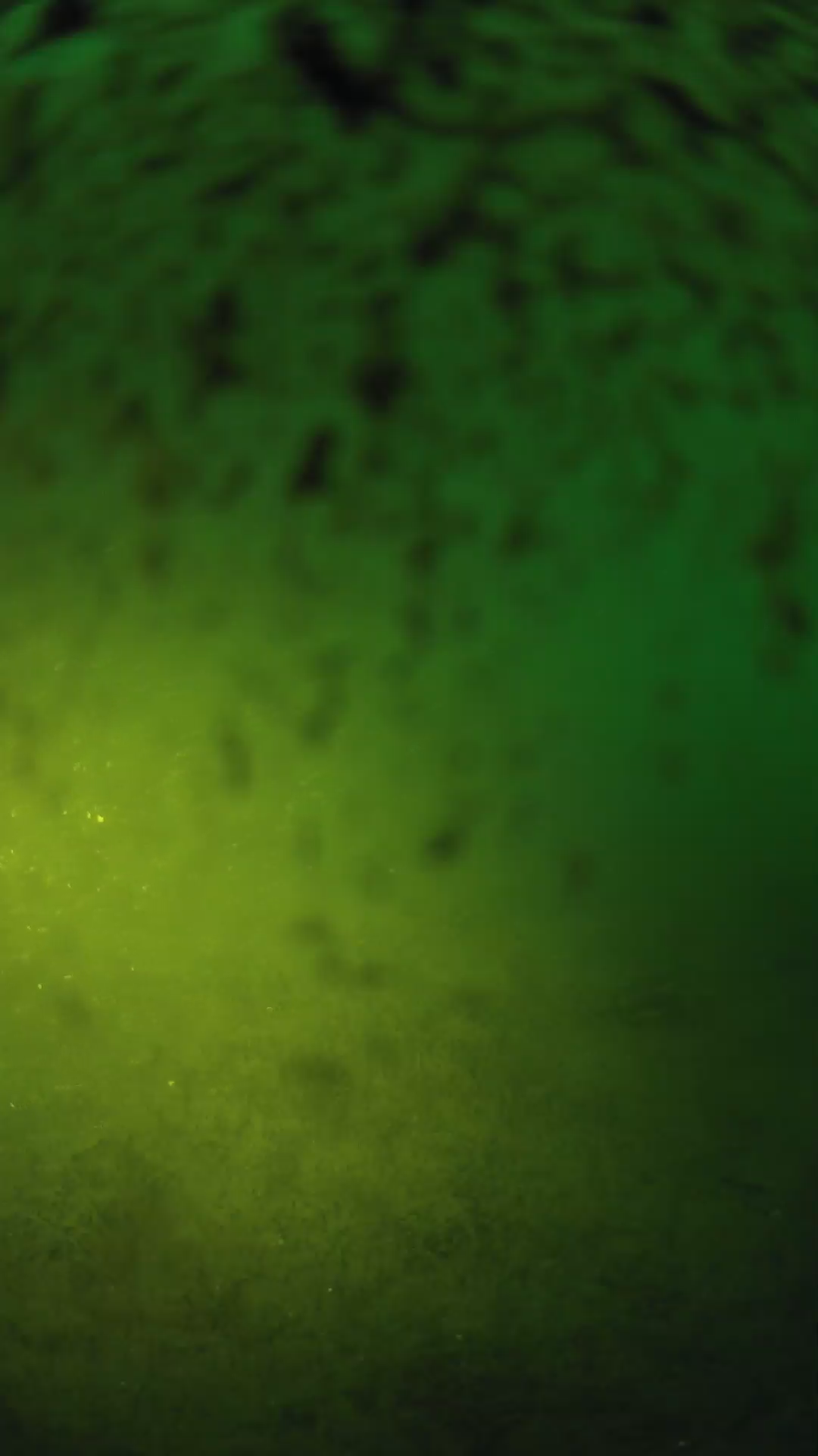 lander_ipcam_20240630050601.png