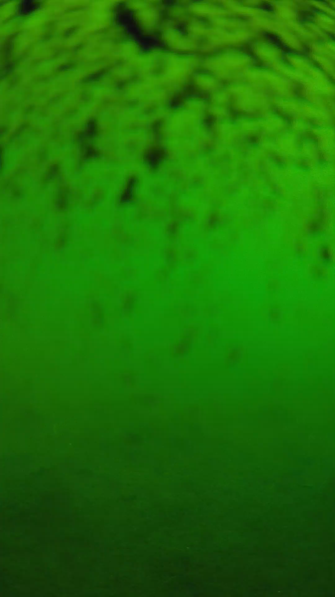lander_ipcam_20240630093556.png