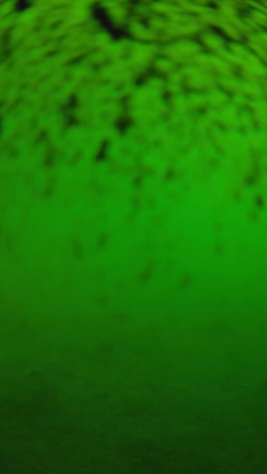 lander_ipcam_20240630093601.png