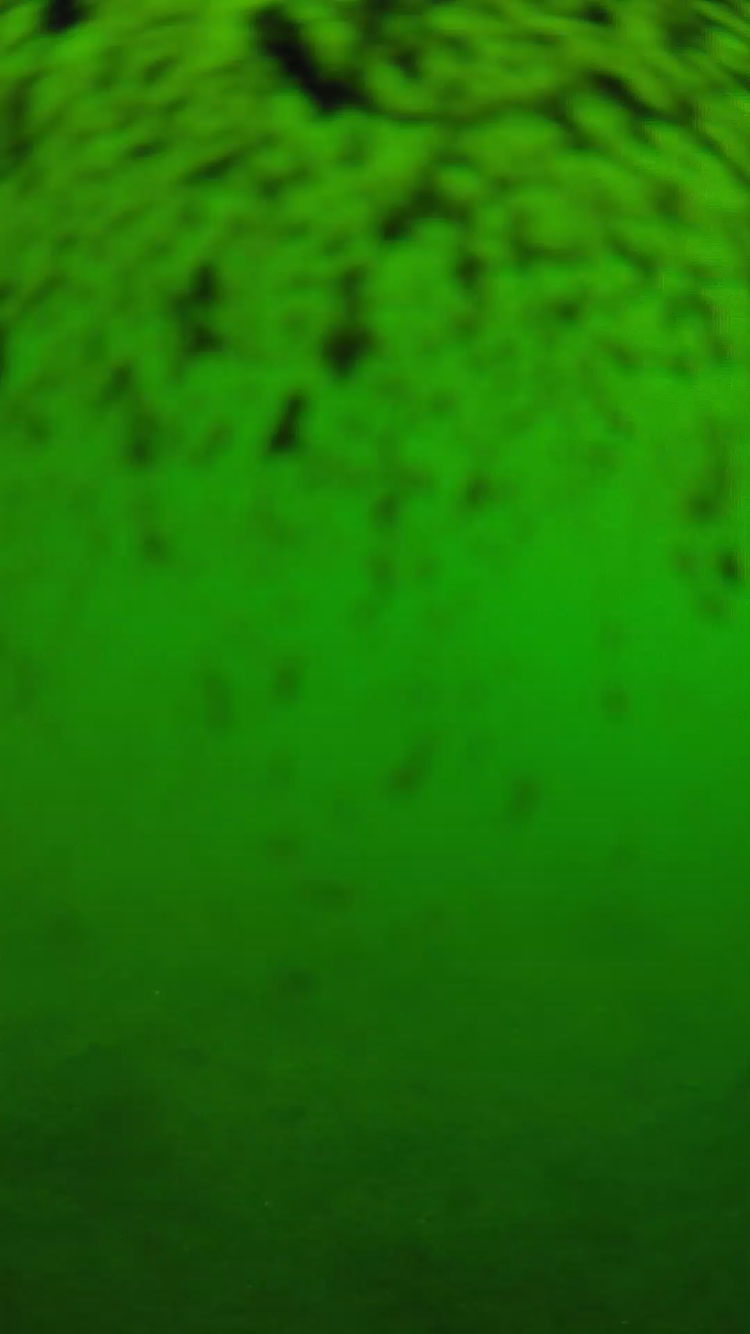 lander_ipcam_20240630100539.png