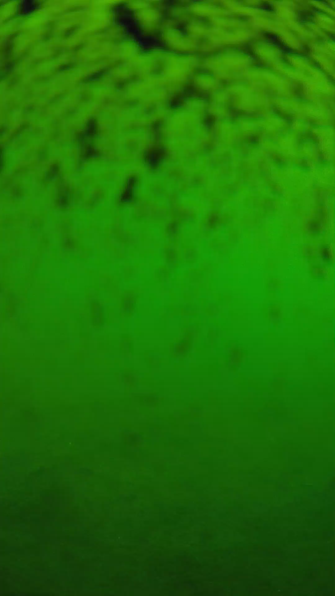 lander_ipcam_20240630100550.png
