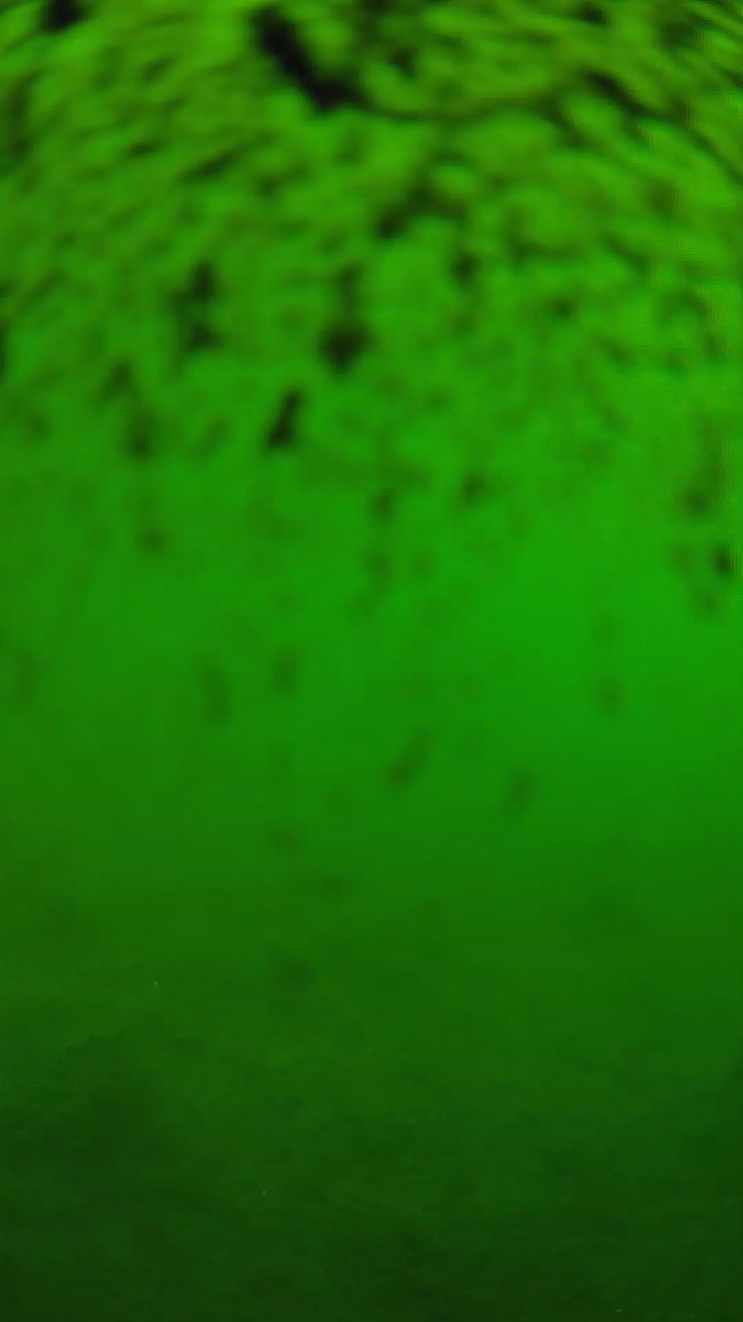 lander_ipcam_20240630100608.png
