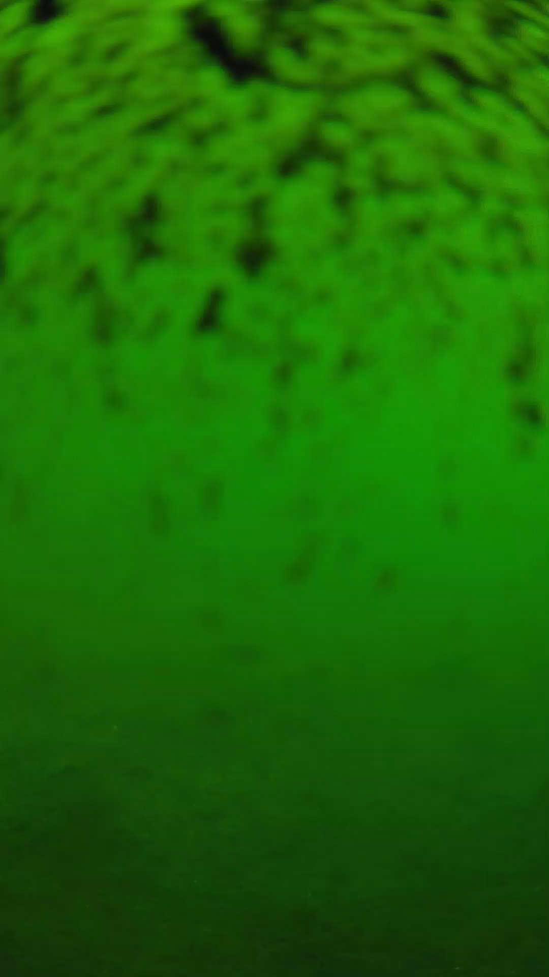 lander_ipcam_20240630103553.png