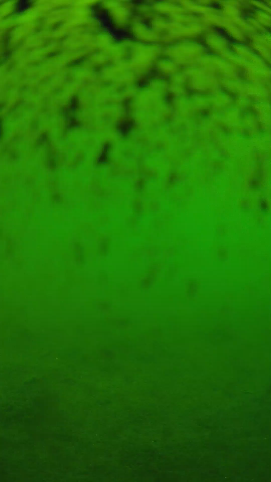lander_ipcam_20240630110538.png