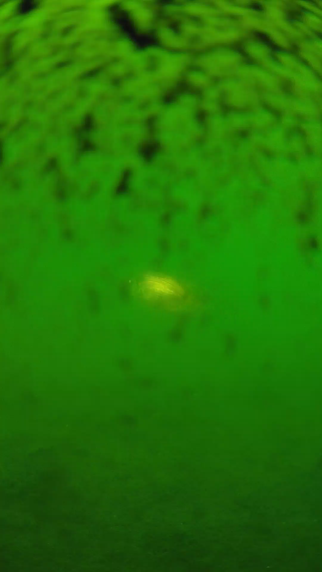 lander_ipcam_20240630113543.png