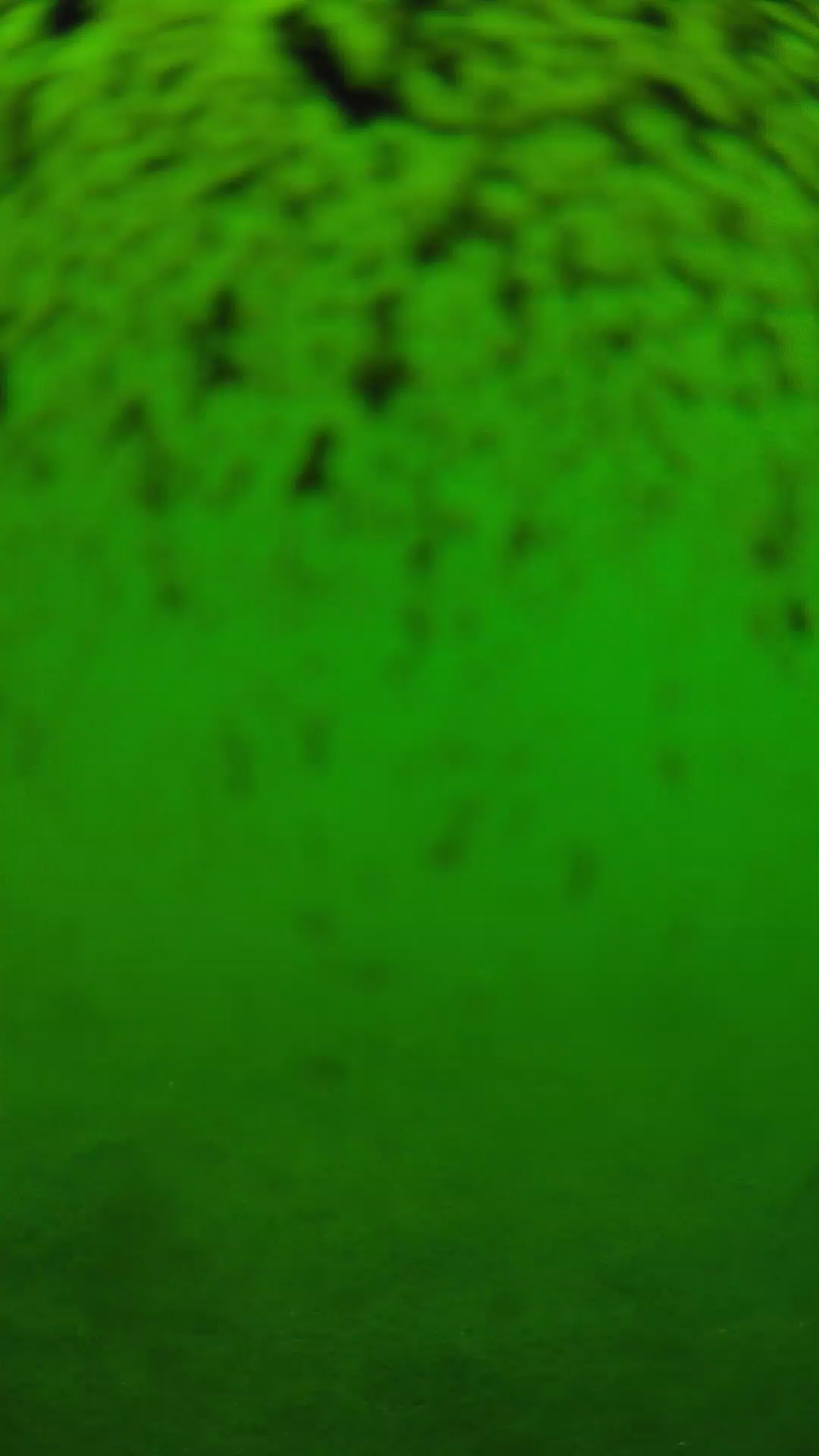 lander_ipcam_20240630113545.png