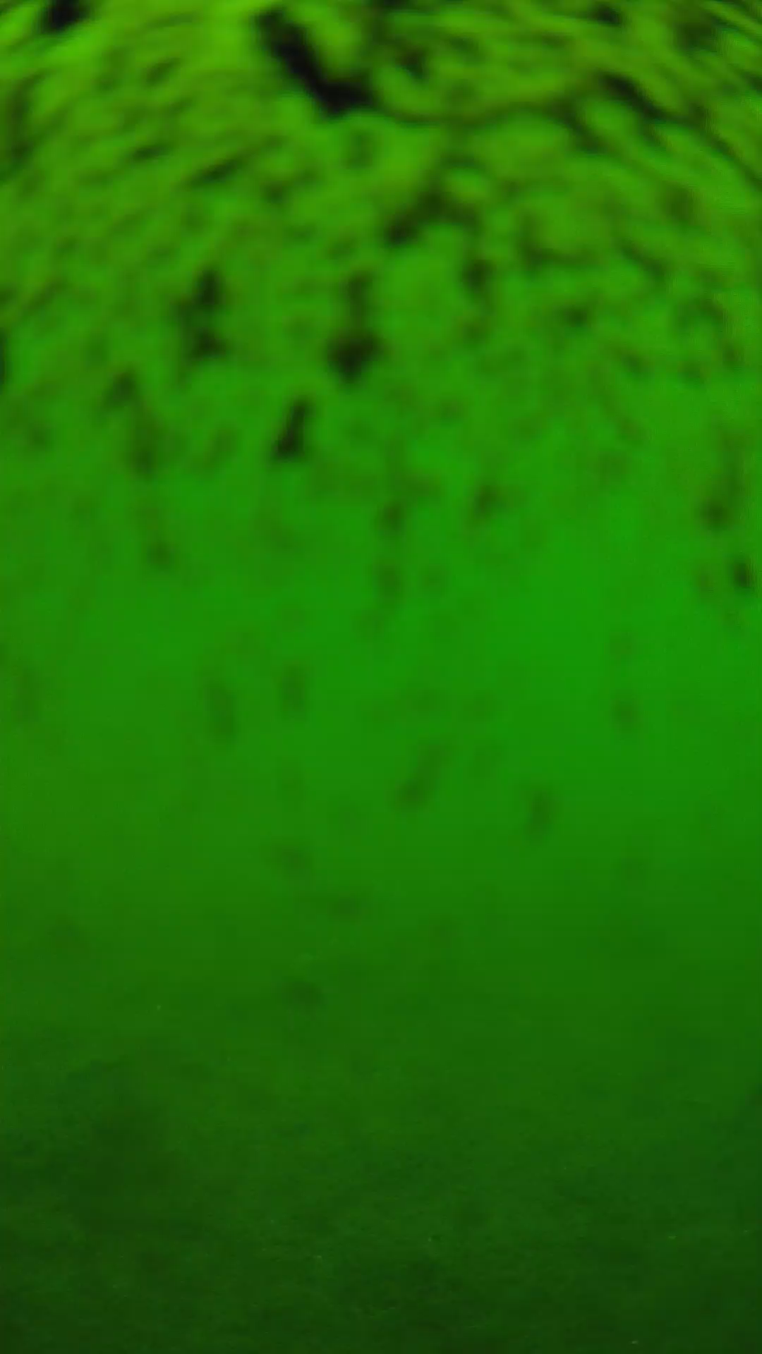 lander_ipcam_20240630113547.png