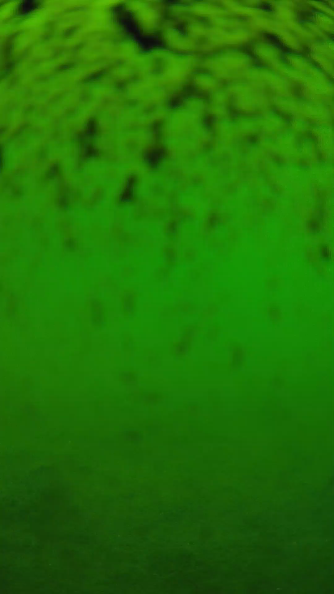 lander_ipcam_20240630113550.png