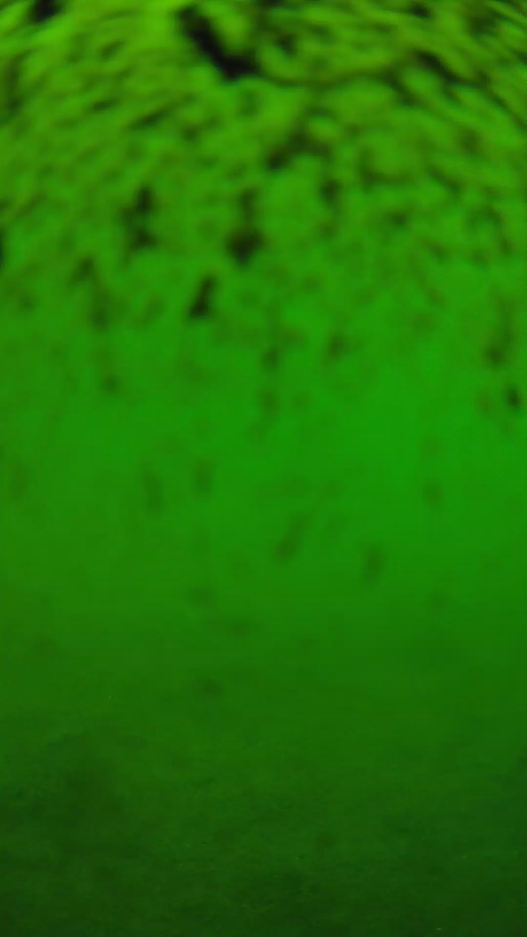 lander_ipcam_20240630113552.png