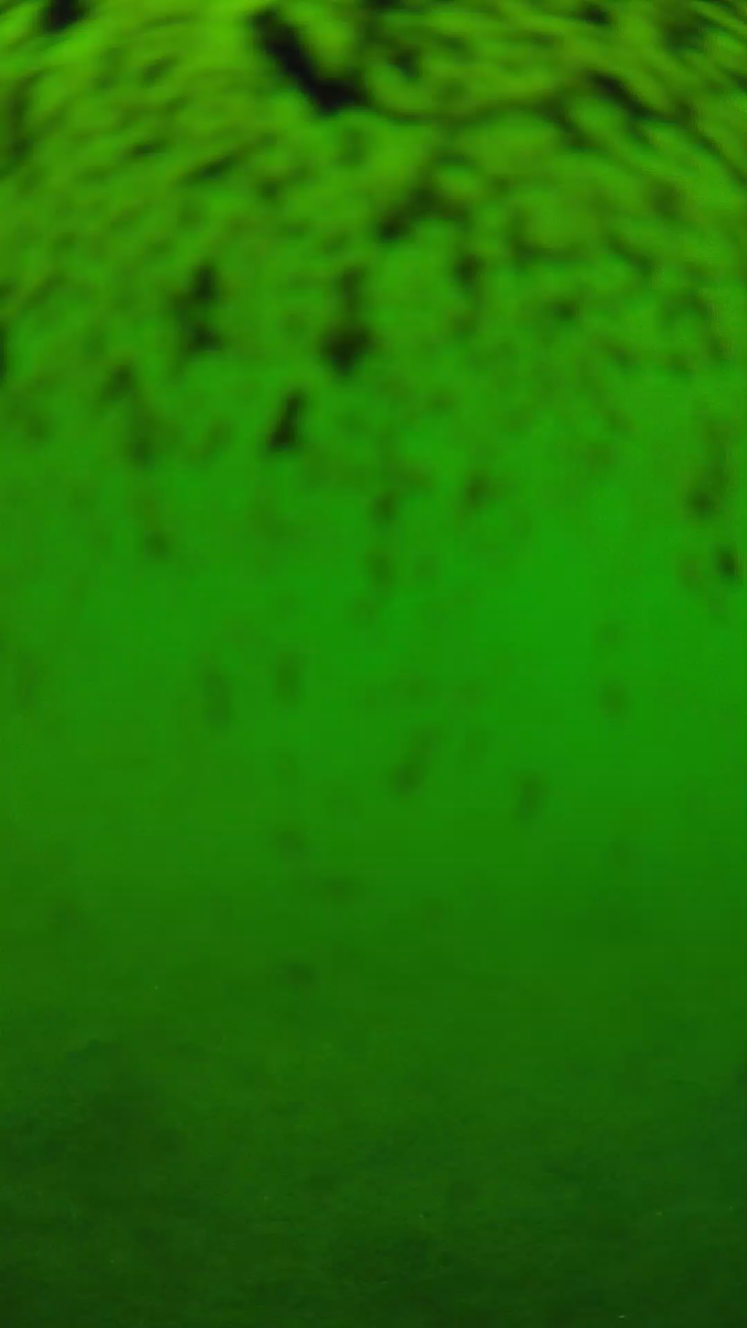 lander_ipcam_20240630113555.png