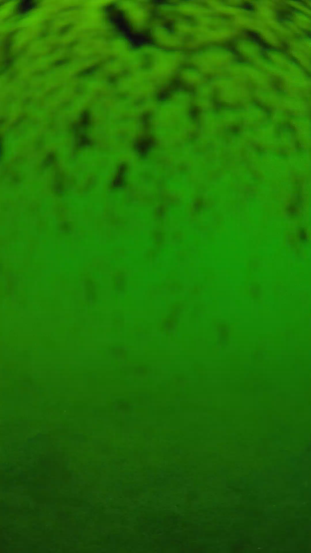 lander_ipcam_20240630113558.png