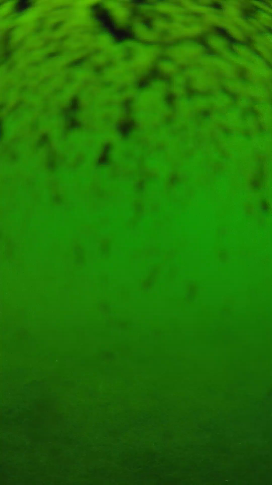 lander_ipcam_20240630113601.png