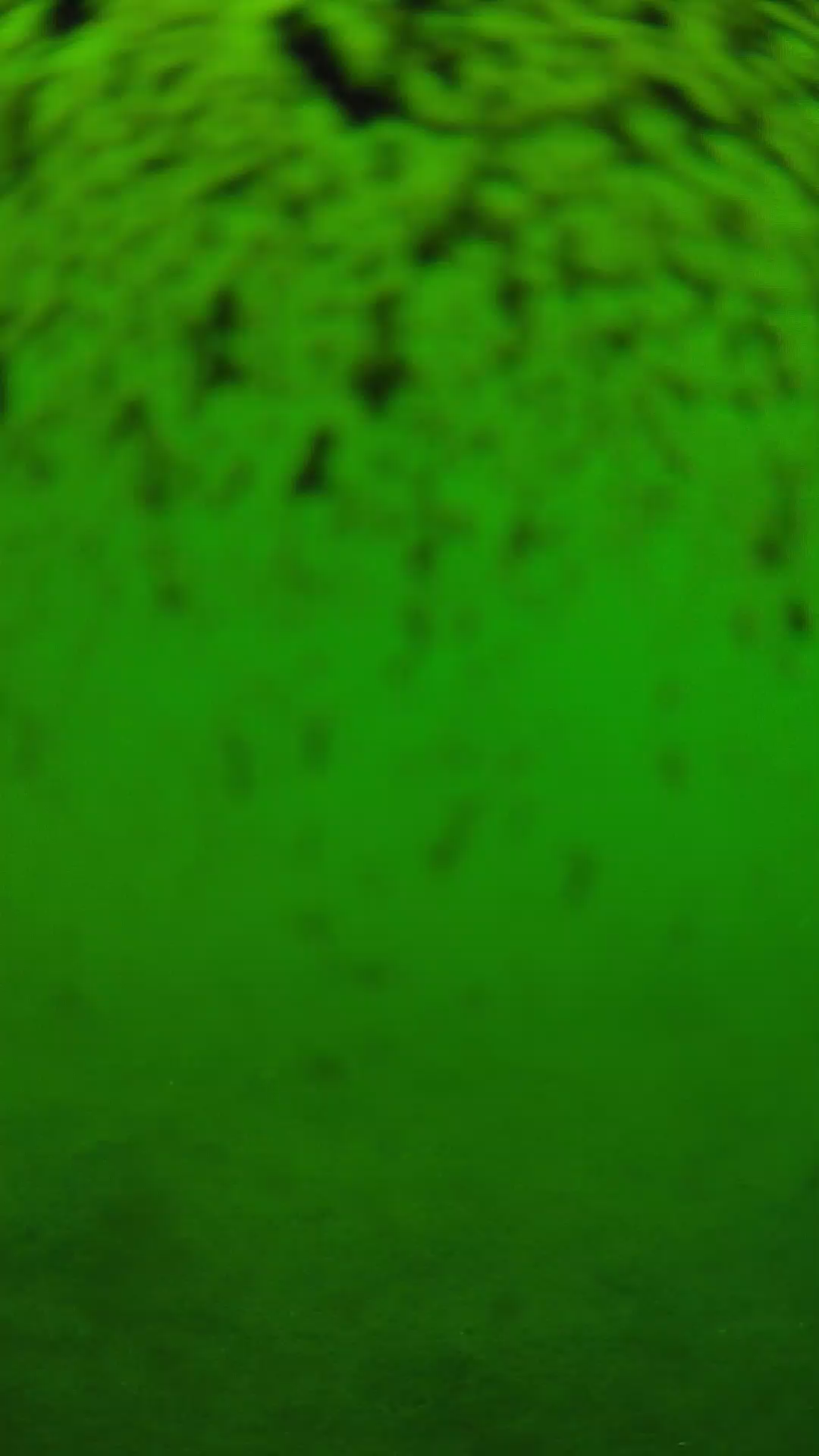 lander_ipcam_20240630113604.png