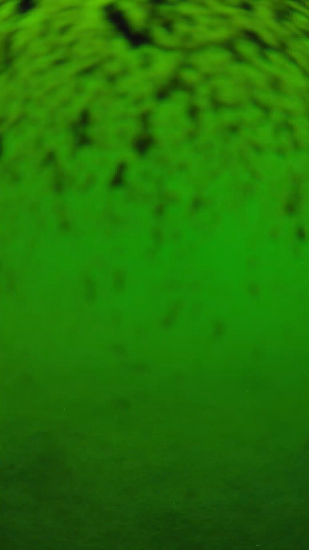 lander_ipcam_20240630113607.png