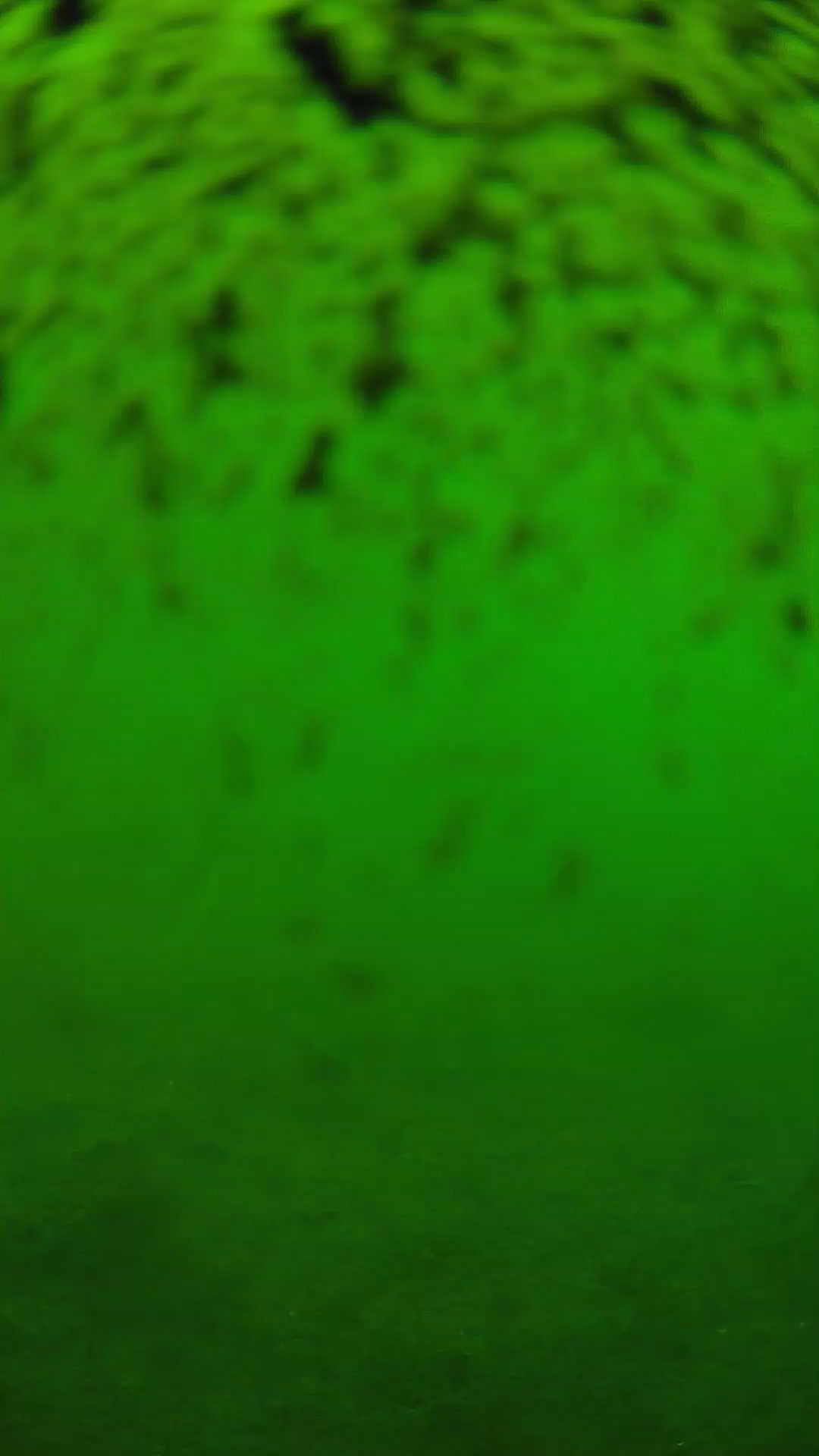 lander_ipcam_20240630120541.png