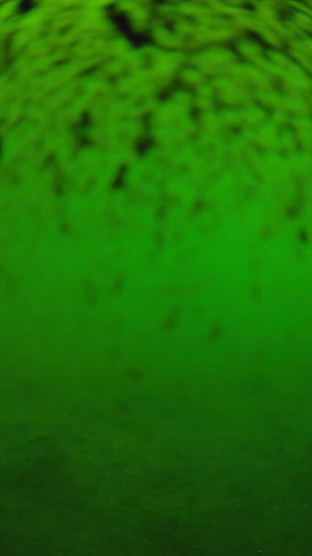 lander_ipcam_20240630120555.png