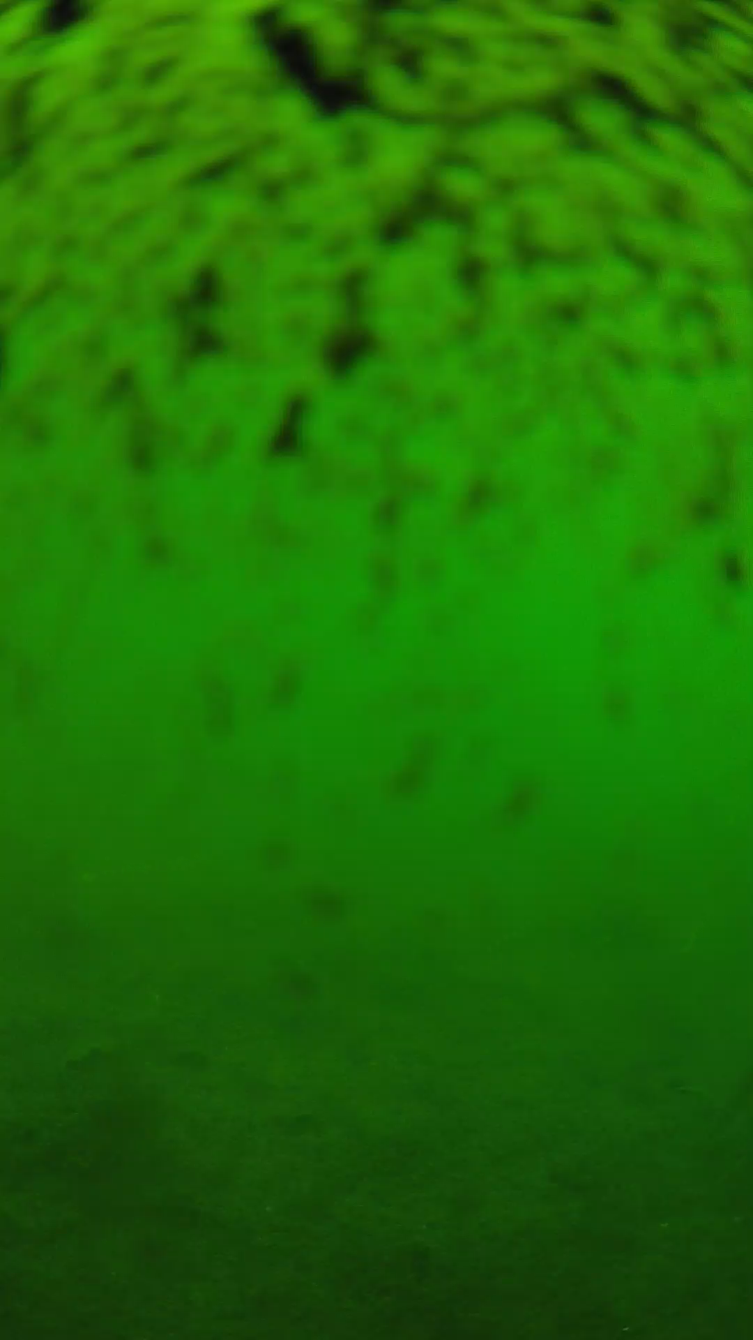 lander_ipcam_20240630120558.png