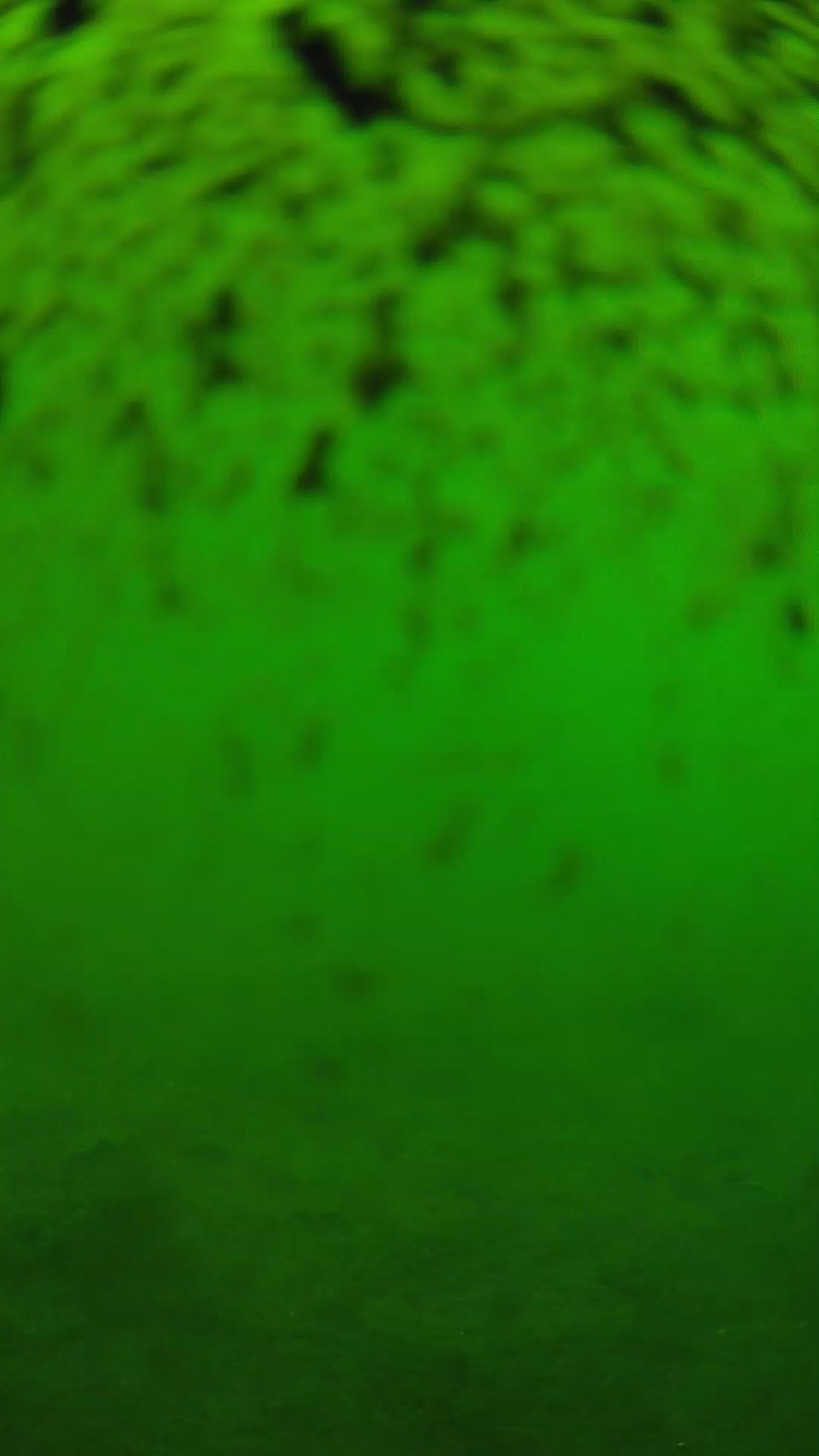 lander_ipcam_20240630120604.png