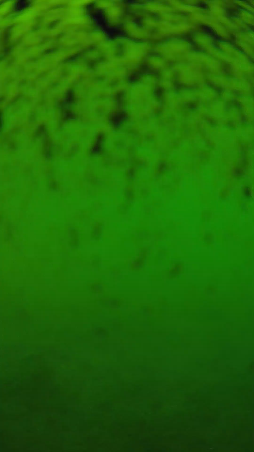 lander_ipcam_20240630123538.png