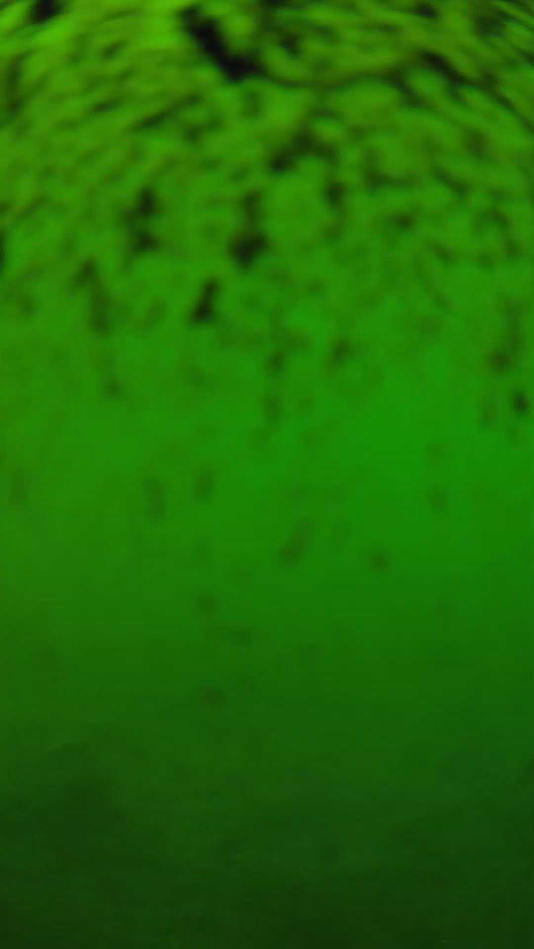 lander_ipcam_20240630123545.png