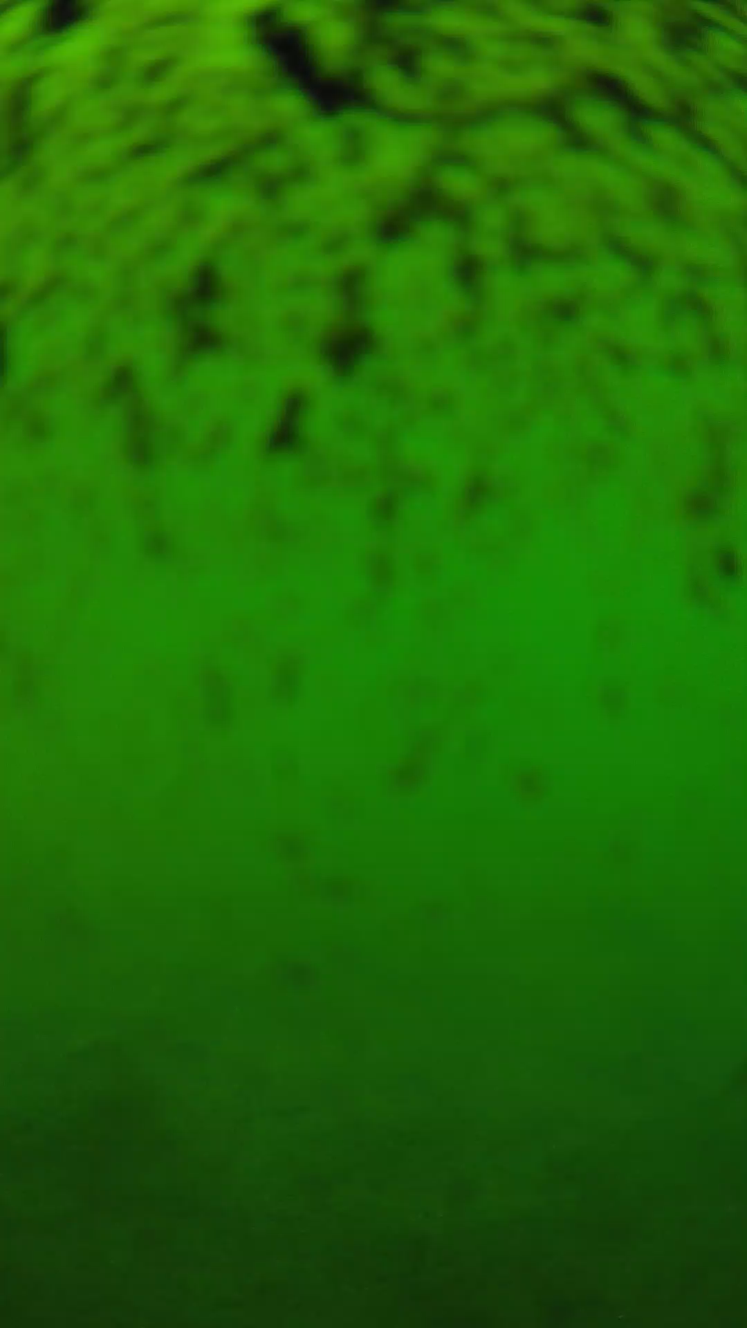 lander_ipcam_20240630123550.png