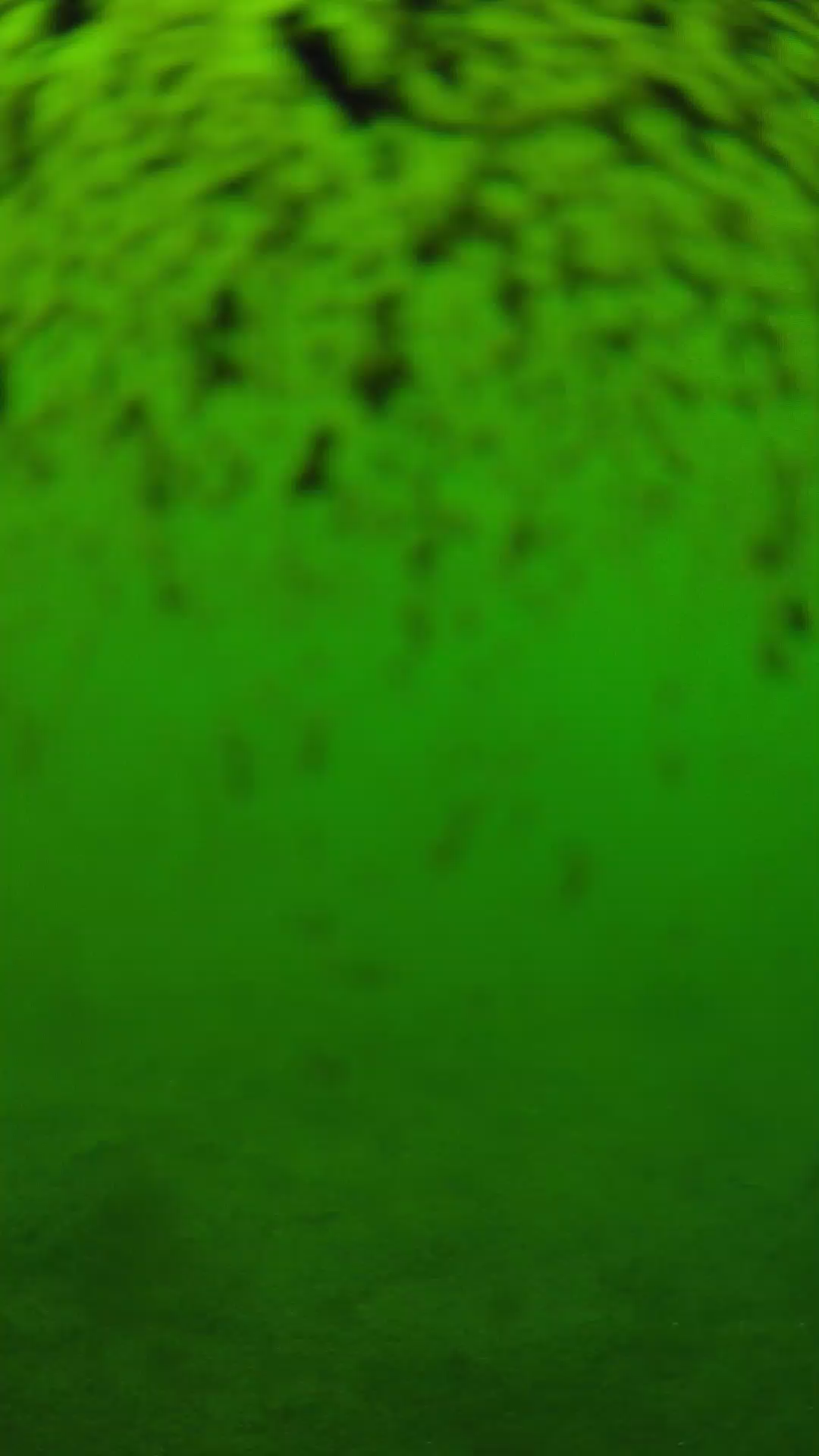 lander_ipcam_20240630130539.png