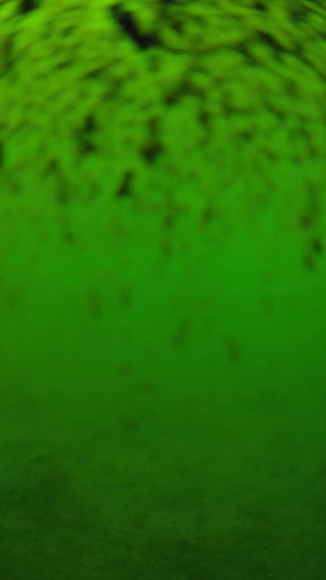 lander_ipcam_20240630130551.png