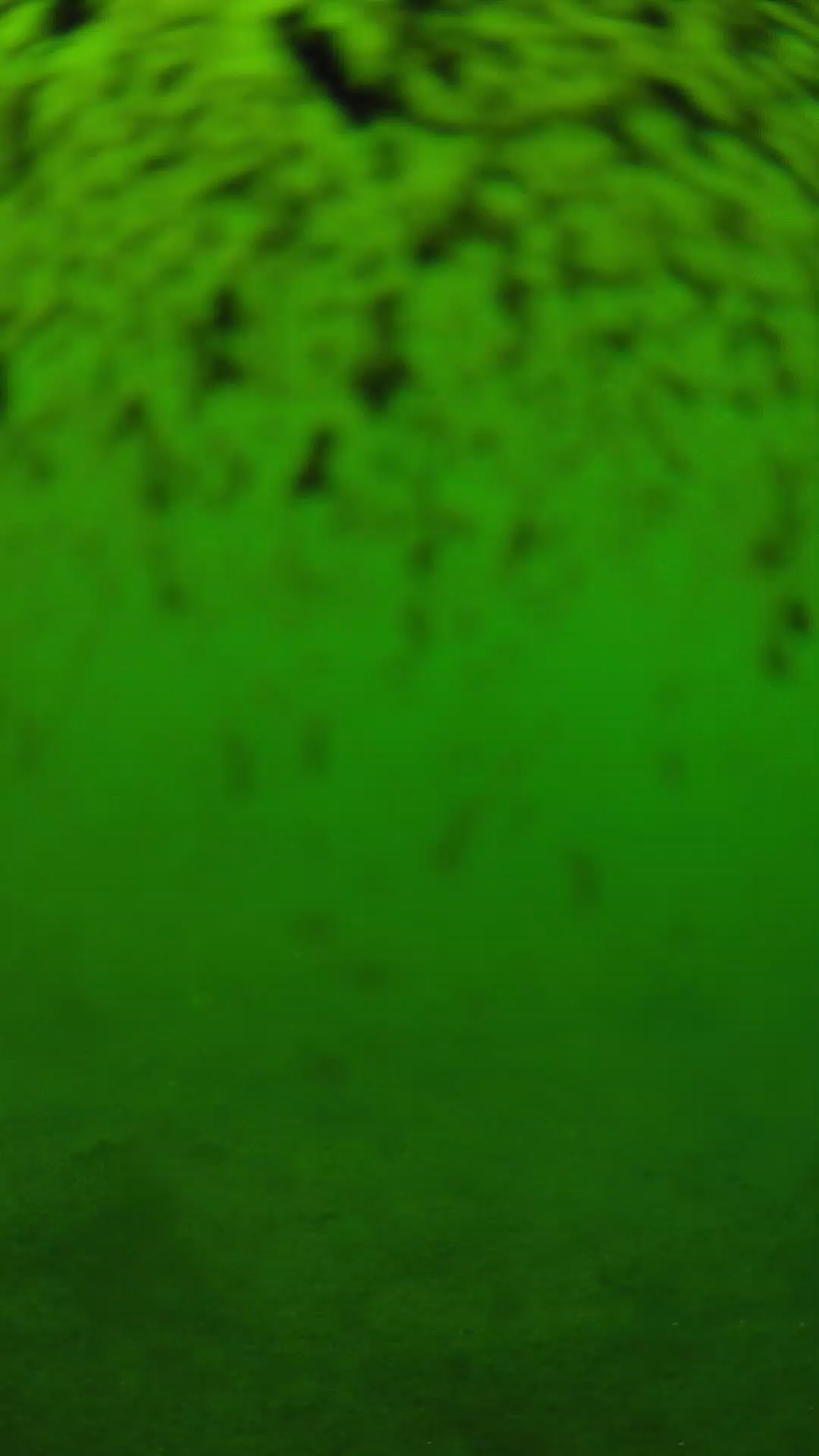 lander_ipcam_20240630130600.png