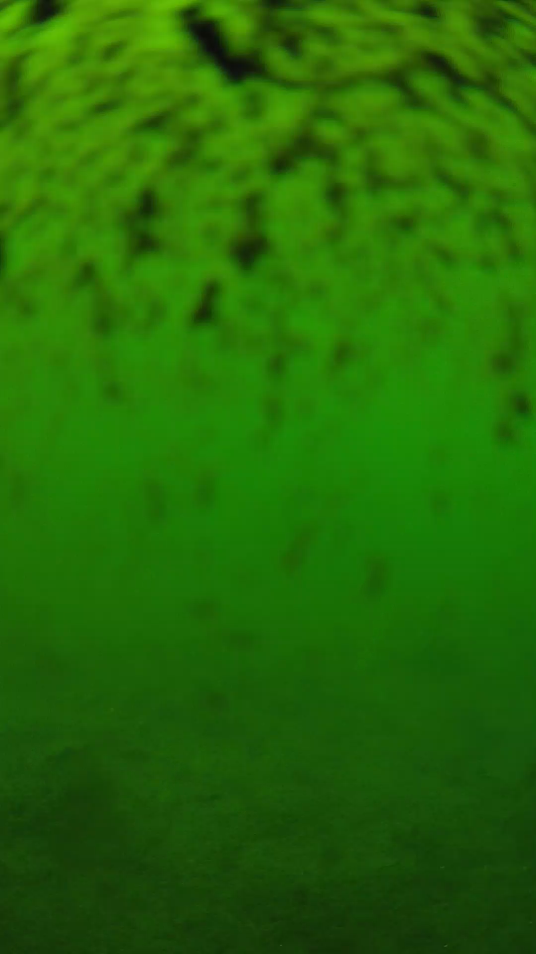 lander_ipcam_20240630130603.png