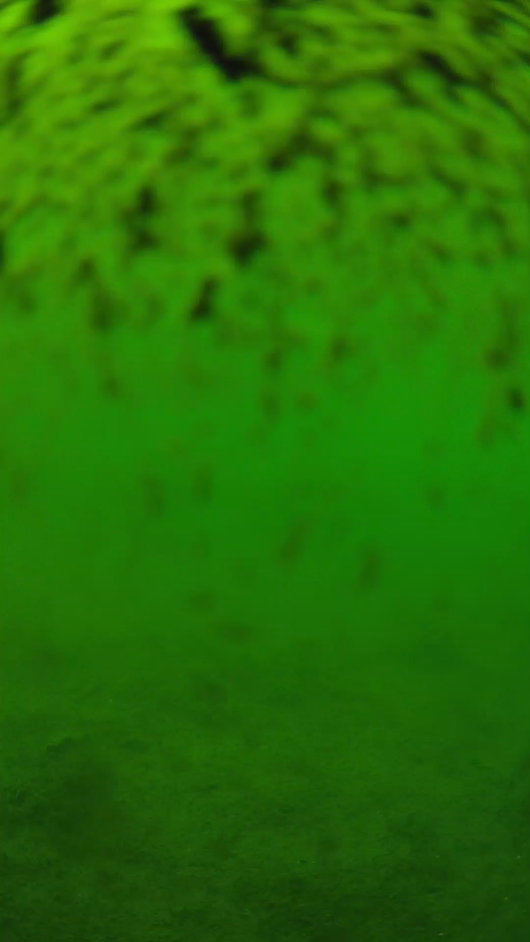 lander_ipcam_20240630133548.png