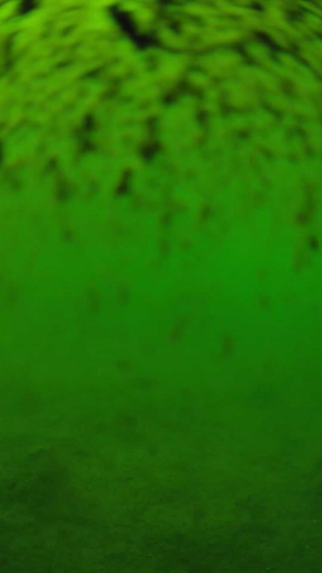 lander_ipcam_20240630133551.png