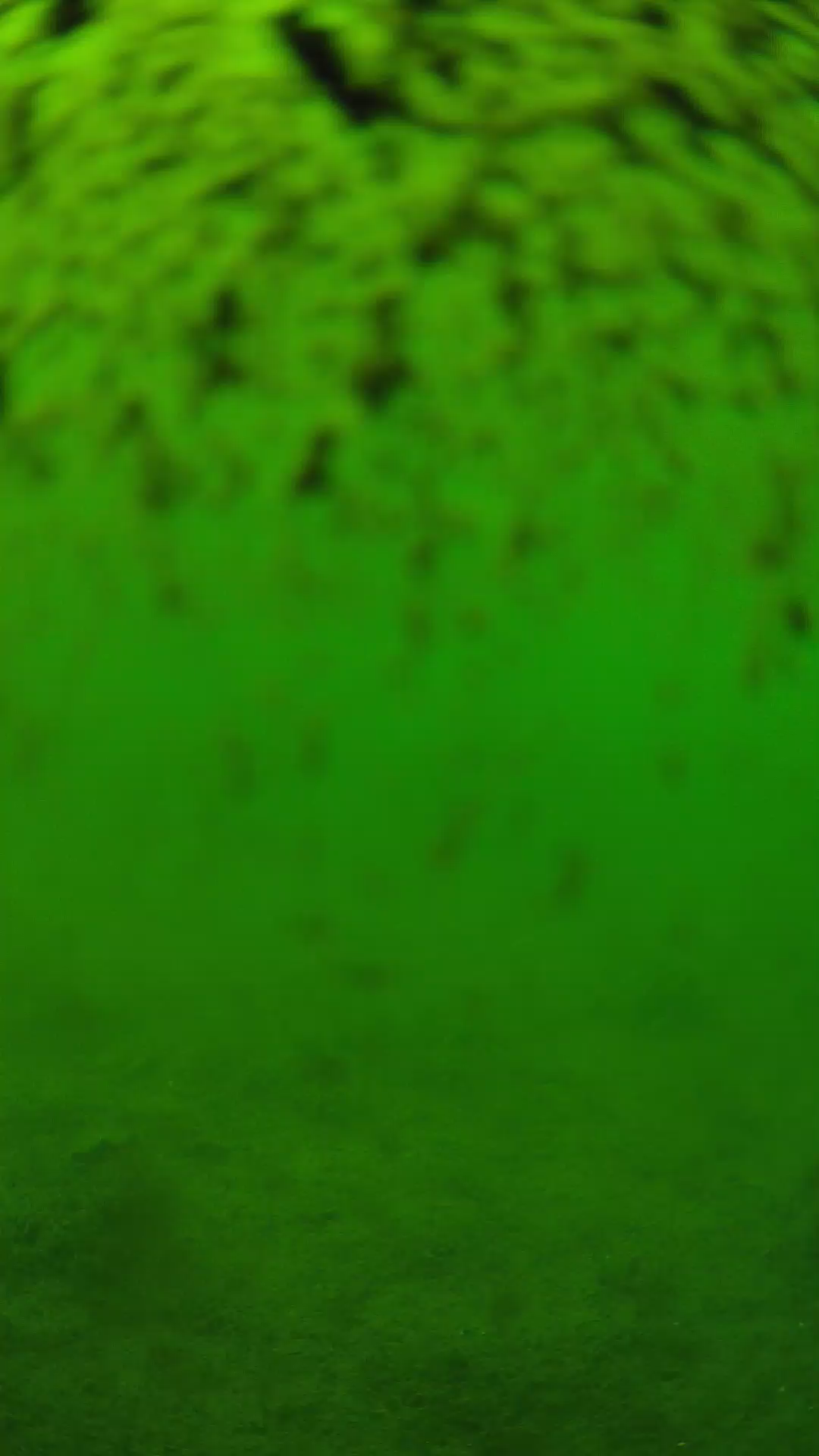 lander_ipcam_20240630133556.png